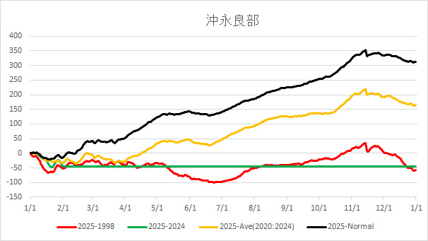 2025Okinoerabu.jpg