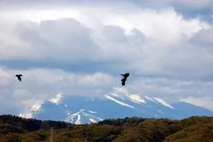 20080419Fuji2.jpg