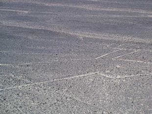 2008009009Nazca4.jpg