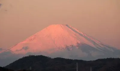 200801206Fuji1.jpg
