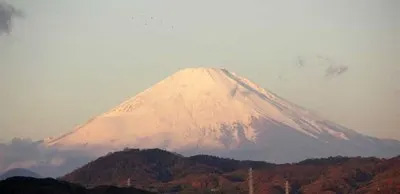200801206Fuji3.jpg