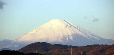 200801206Fuji6.jpg