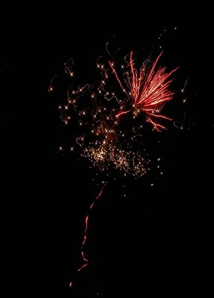 20090102FireWork.jpg