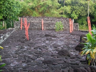 20090102Marae2.jpg