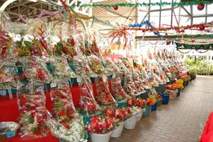 20090102NewYearBouquet2.jpg
