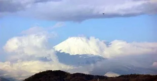 20090110Fuji2.jpg