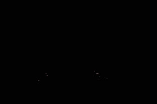 20090817Fuji2.jpg