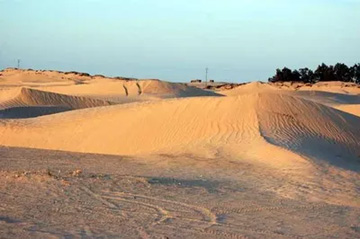2009101231Desert.jpg