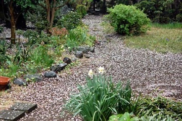20100405Garden.jpg