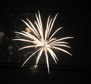 20100730Firework1.jpg