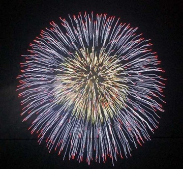 20100730Firework2.jpg