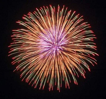 20100730Firework3.jpg