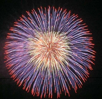 20100730Firework5.jpg