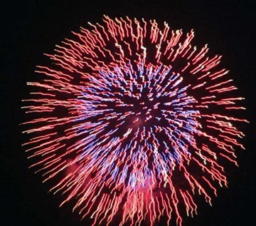 20100730Firework6.jpg