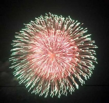20100730Firework8.jpg