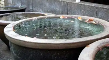 20101226Ice.jpg