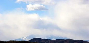 20110116Fuji2.jpg
