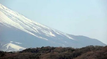 20110118Fuji5.jpg