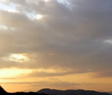 20110119Fuji4.jpg