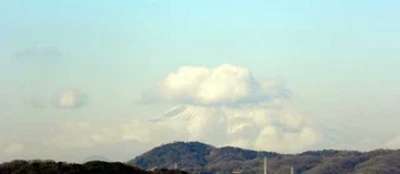 20110126Fuji3.jpg
