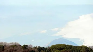 20110305Fuji4.jpg