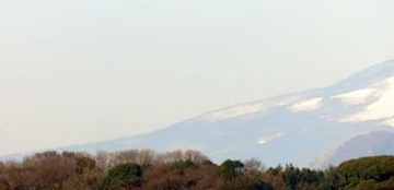 20110306Fuji4.jpg