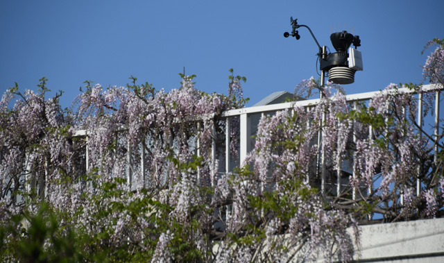 20250421WeatherStation.jpg