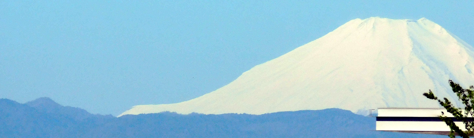 mainBg0975.jpg