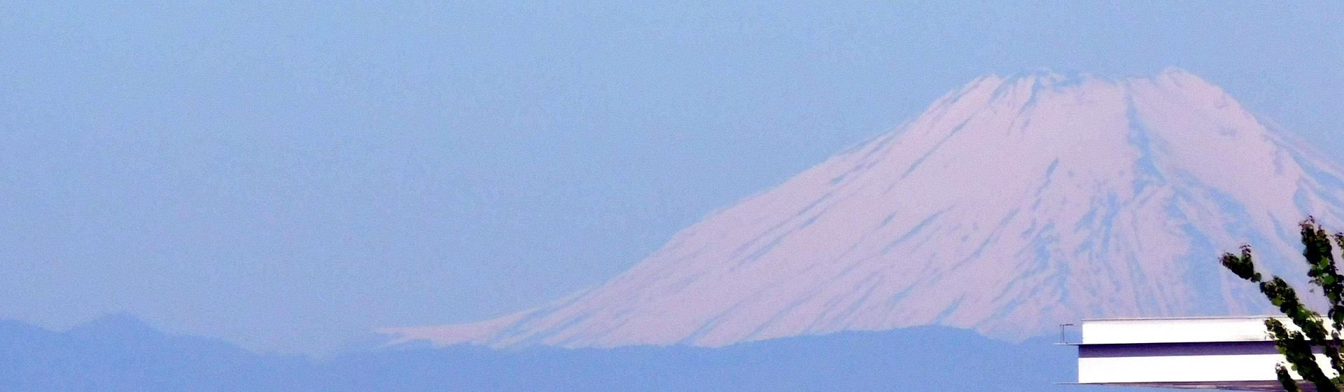 mainBg0980.jpg