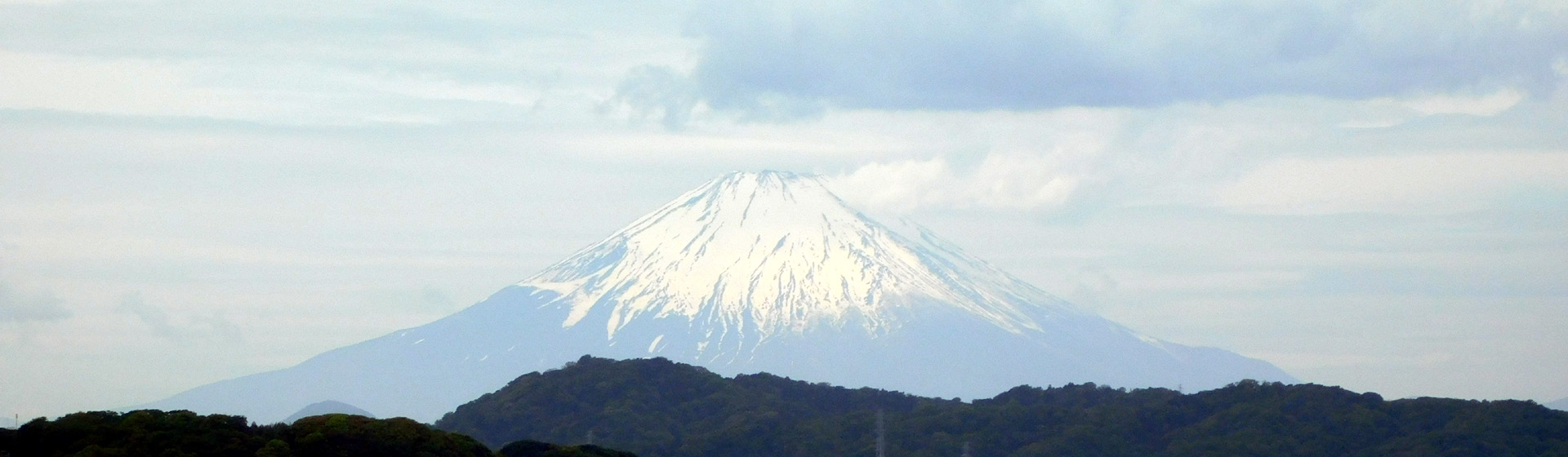 mainBg0981.jpg