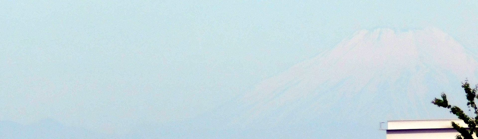 mainBg0986.jpg