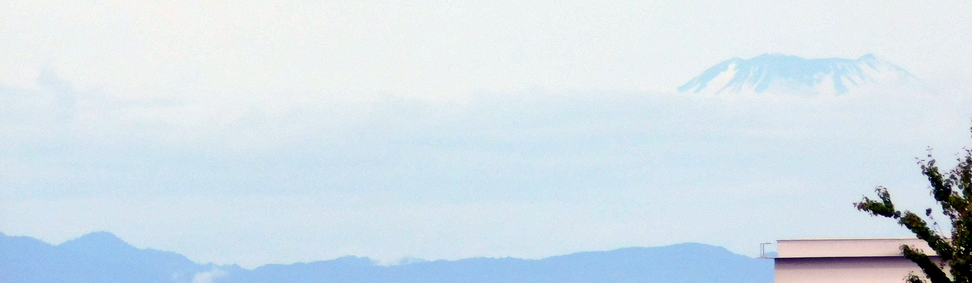 mainBg0990.jpg