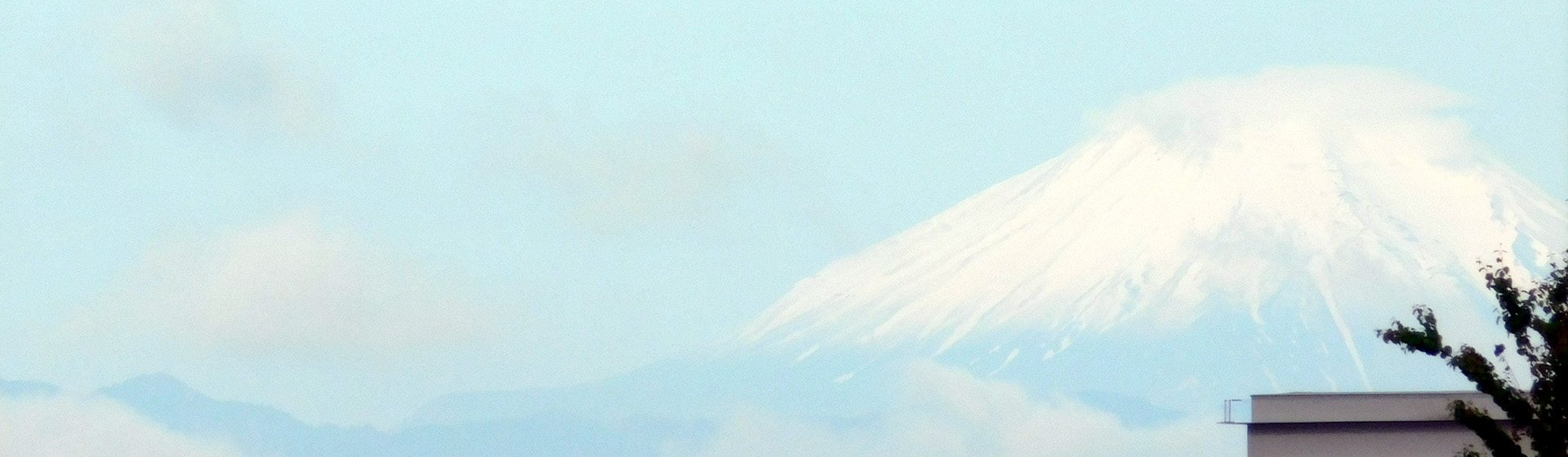 mainBg0991.jpg